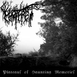 Vuotare : Plateaus of Haunting Memories